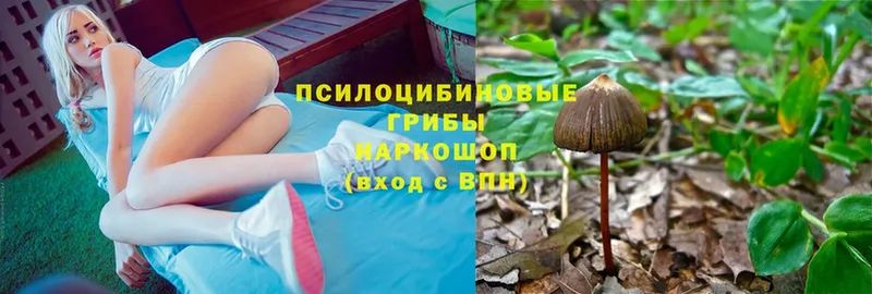 Псилоцибиновые грибы мухоморы  Улан-Удэ 